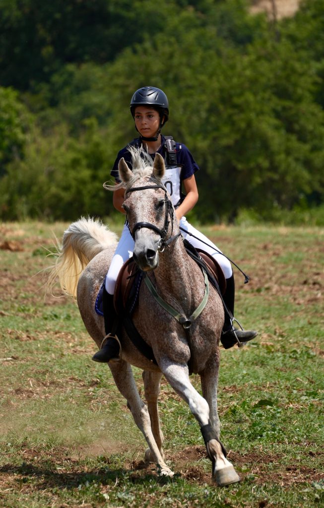 Whatsapp image 2025 06 15 at 14.17.17