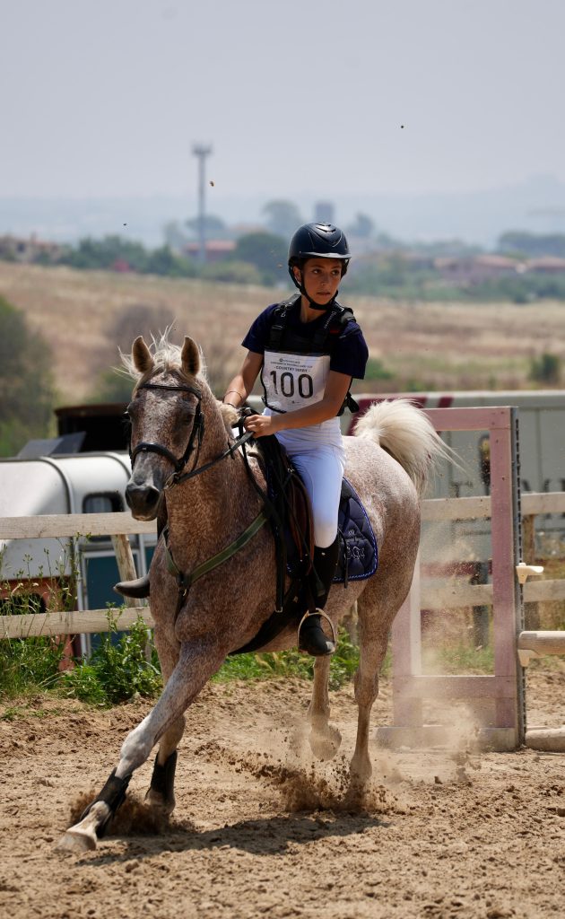 Whatsapp image 2025 06 15 at 14.17.46