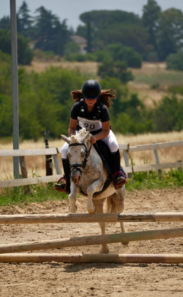 Whatsapp image 2025 06 15 at 14.18.07