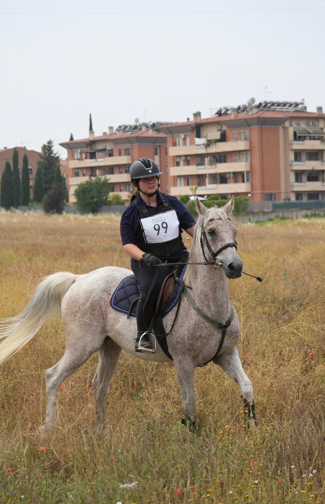 Whatsapp image 2025 06 15 at 14.18.37