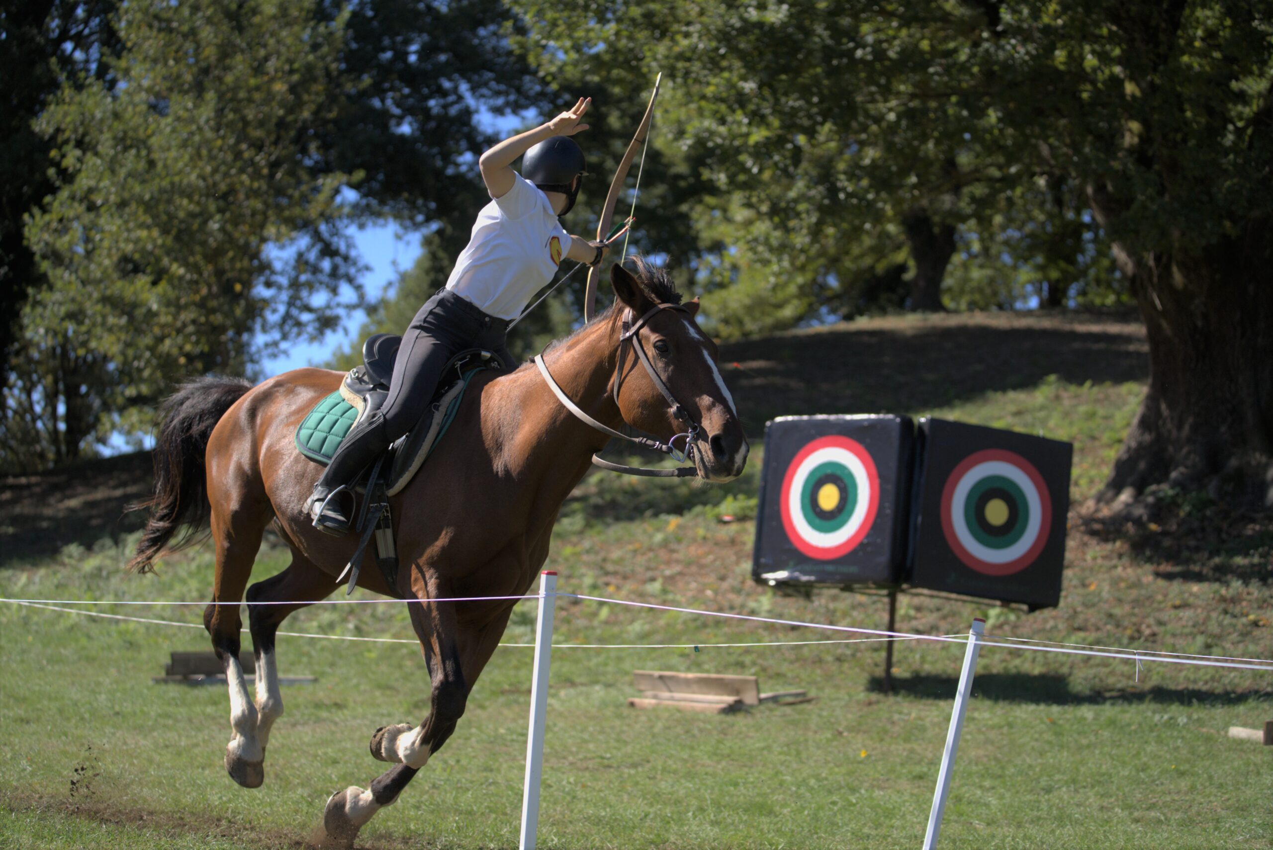 Curiosita i cavalli per il tiro con larco scaled