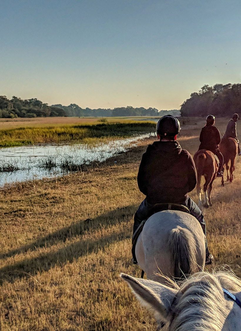 A kilimanjaro mountain beautiful wildness view, tanzania