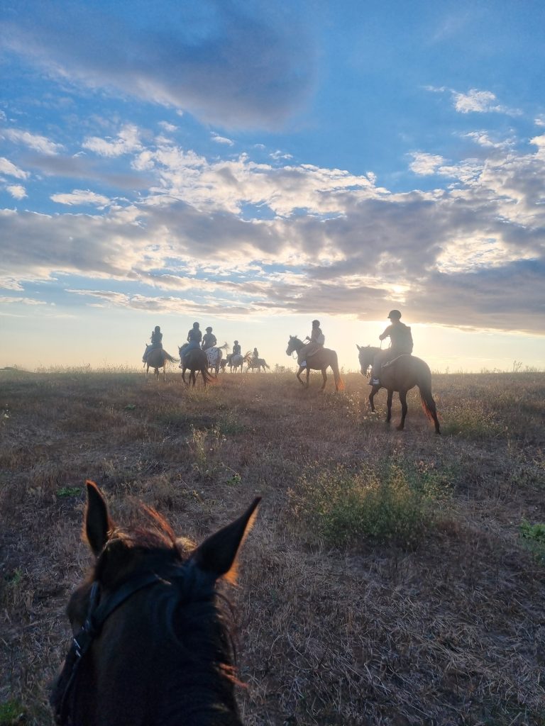 Passeggiata a cavallo al tramonto