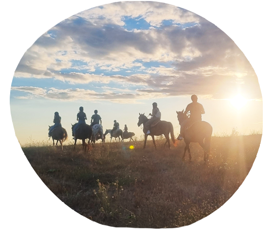 Passeggiate a cavallo roma