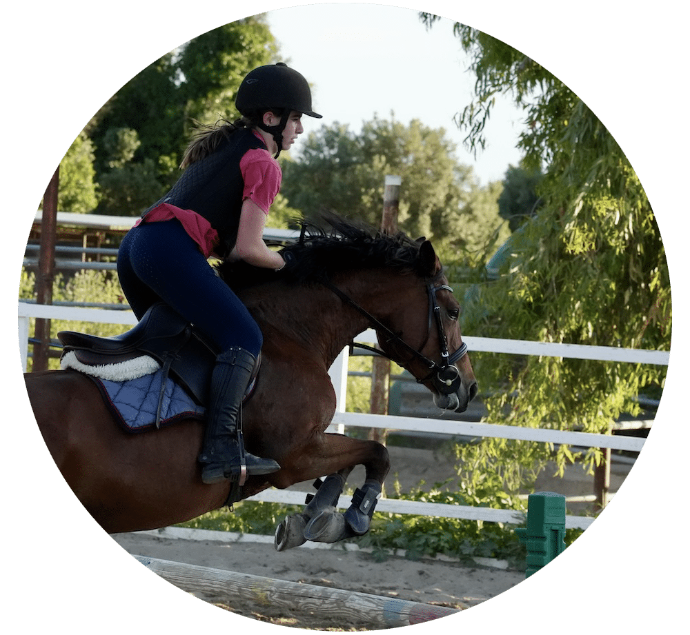 Scuola di equitazione